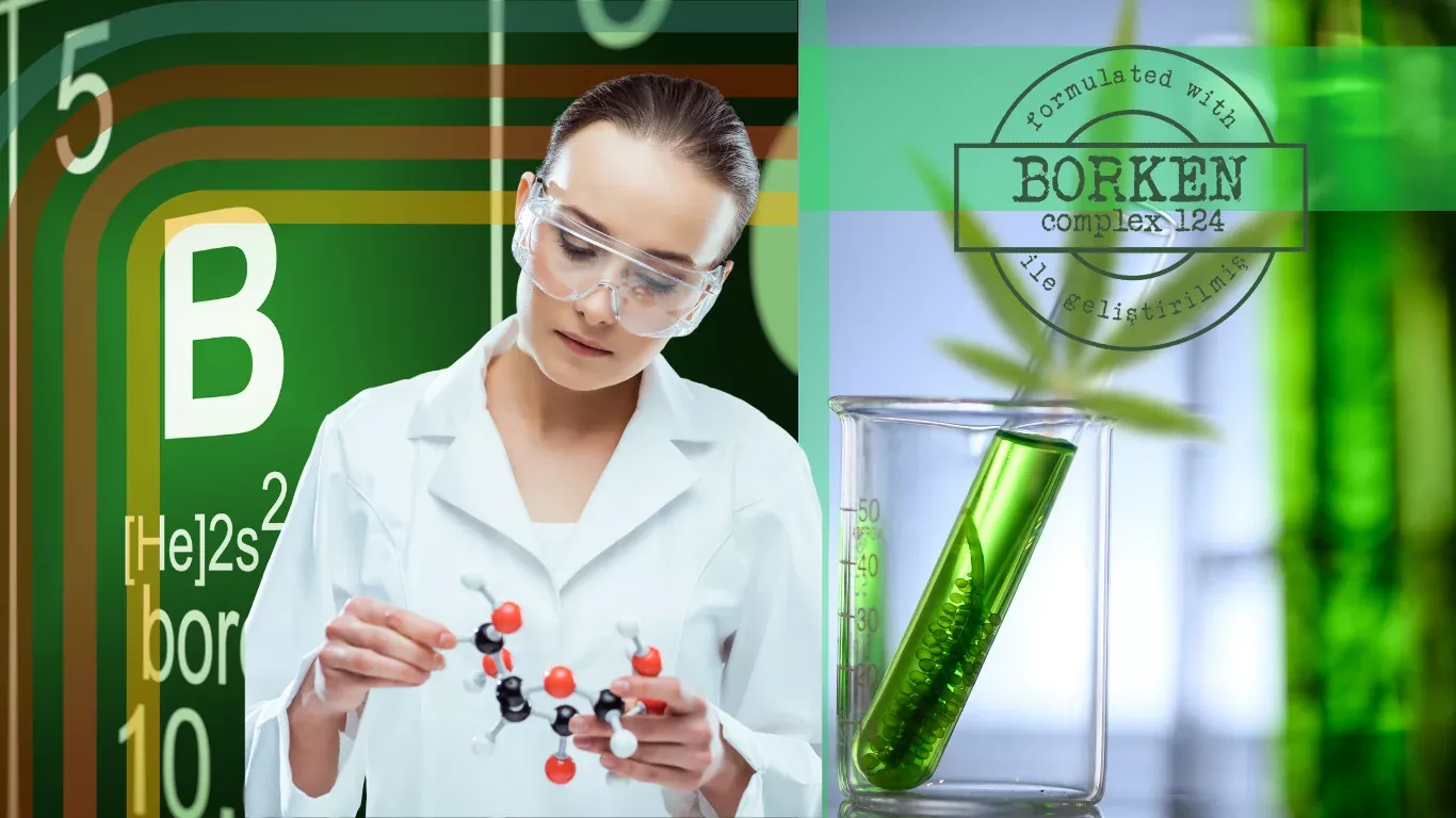 BorKen Complex 124: Sağlığınızı Desteklemek İçin Bor ve Kenevir Tohumu Yağının Mucizevi Birleşimi